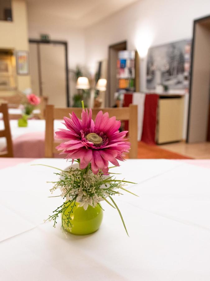 Pension Hotel Mariahilf Wien Exteriör bild